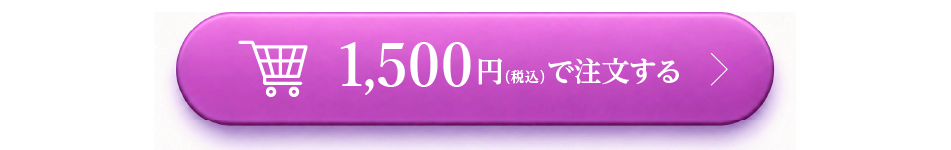 1,500円（税込）で注文する